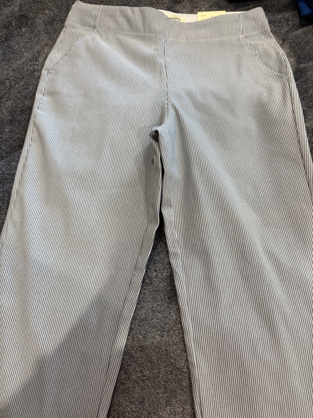 Max Studio Pull On Trouser And JM Collection Core Fashion Slim Leg Tummy Control